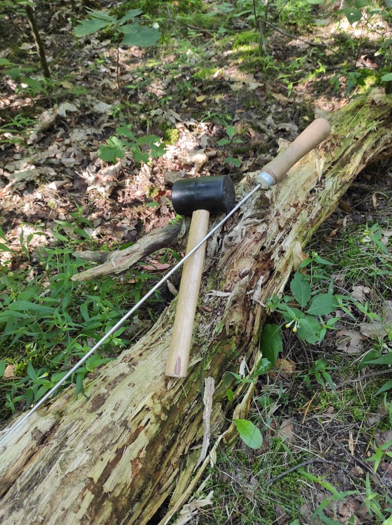 Badanie drzew, podstawowe narzędzia diagnostyczne