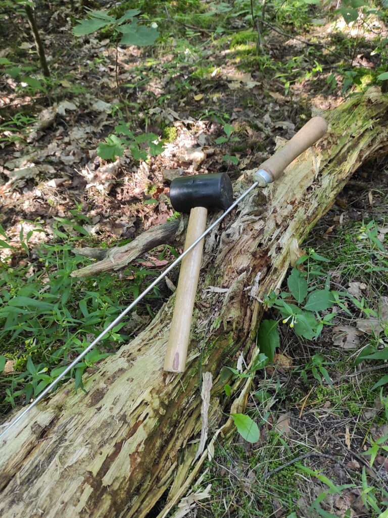 Badanie drzew, podstawowe narzędzia diagnostyczne